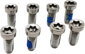 alltoo Stone Chainring Bolt for Sram Road Bike 12 Speed QUARQ Rival AXS Force Red Crank 8 Holes Repair Screw 304 Stainless Steel