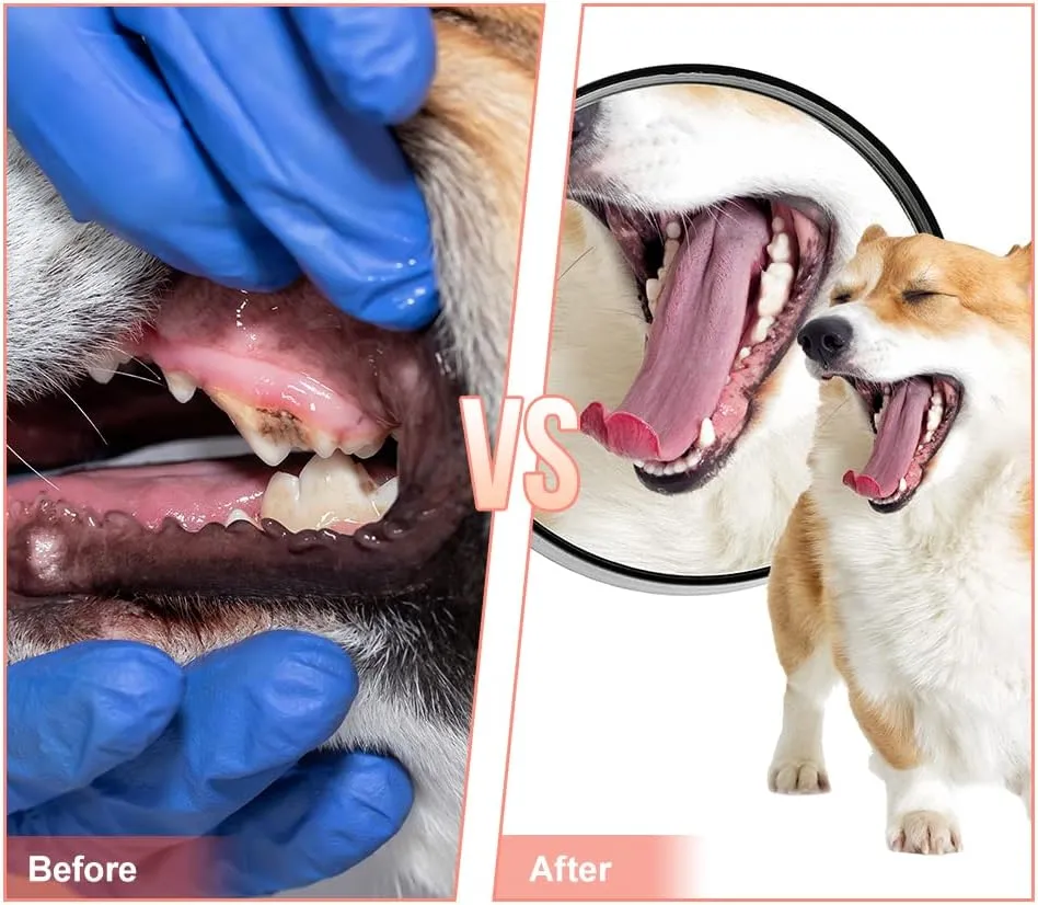 Dog Chew Toys,Durable Rubber Slipper Toy for Puppy,Dog Tough Toys for Pet Training and Cleaning Teeth,Interactive Puppy Toys Aggressive Chewers Small Meduium Breed