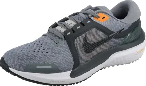 Nike Men's Low-top Running Shoe