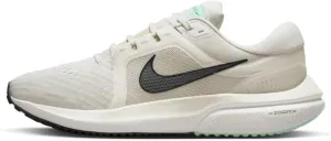 Nike Men's Low-top Running Shoe